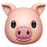 TokenHog Pig